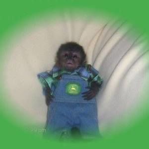 Meet your Posher, Ramona